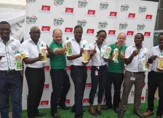 Morning Fresh launches pan-Nigeria consumer promo