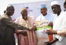 Dangote Sets to Introduce Rice into the Nigerian Market -marketingspace.com.ng