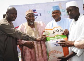 Dangote Sets to Introduce Rice into the Nigerian Market -marketingspace.com.ng