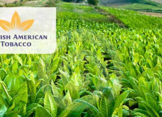 BATN Compensates Tobacco Farmers For Child Labour Policy Compliance-marketingspace.com.ng