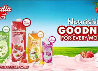 Hollandia Yoghurt offers Nourishing Goodness for Every Moment-marketingspace.com.ng