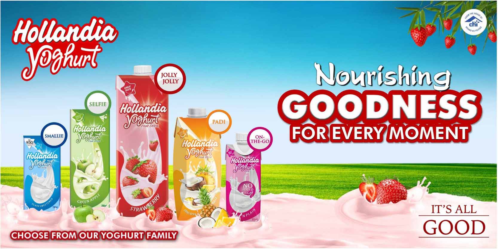 Hollandia Yoghurt offers Nourishing Goodness for Every Moment-marketingspace.com.ng