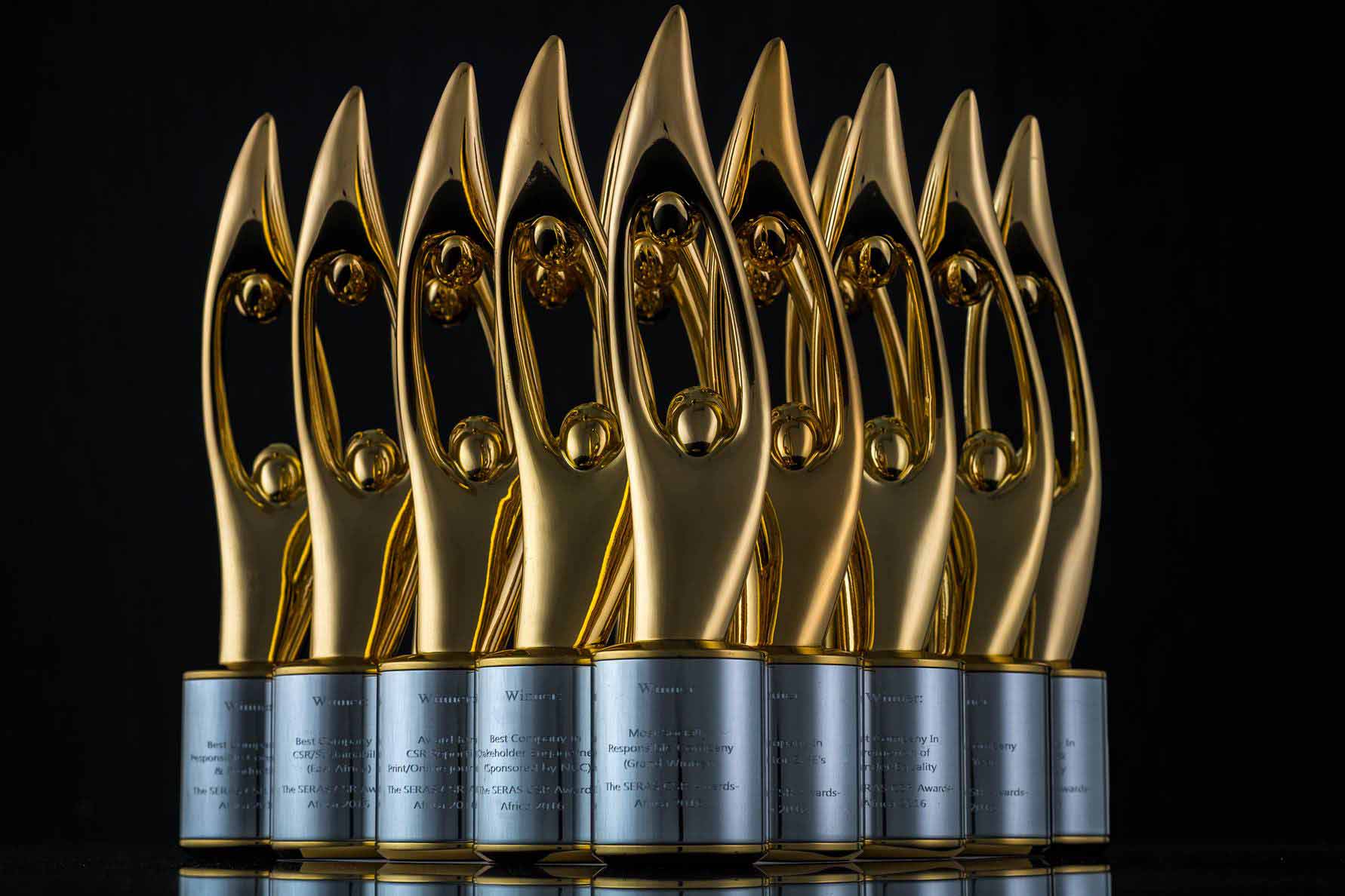 2017 SERAS Awards Calls For Entries-marketingspace.com.ng