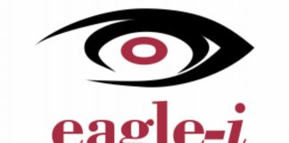 Eagle-i Introduces Alternative HD CCTV Cameras Into Nigerian Market-marketingspace.com.ng