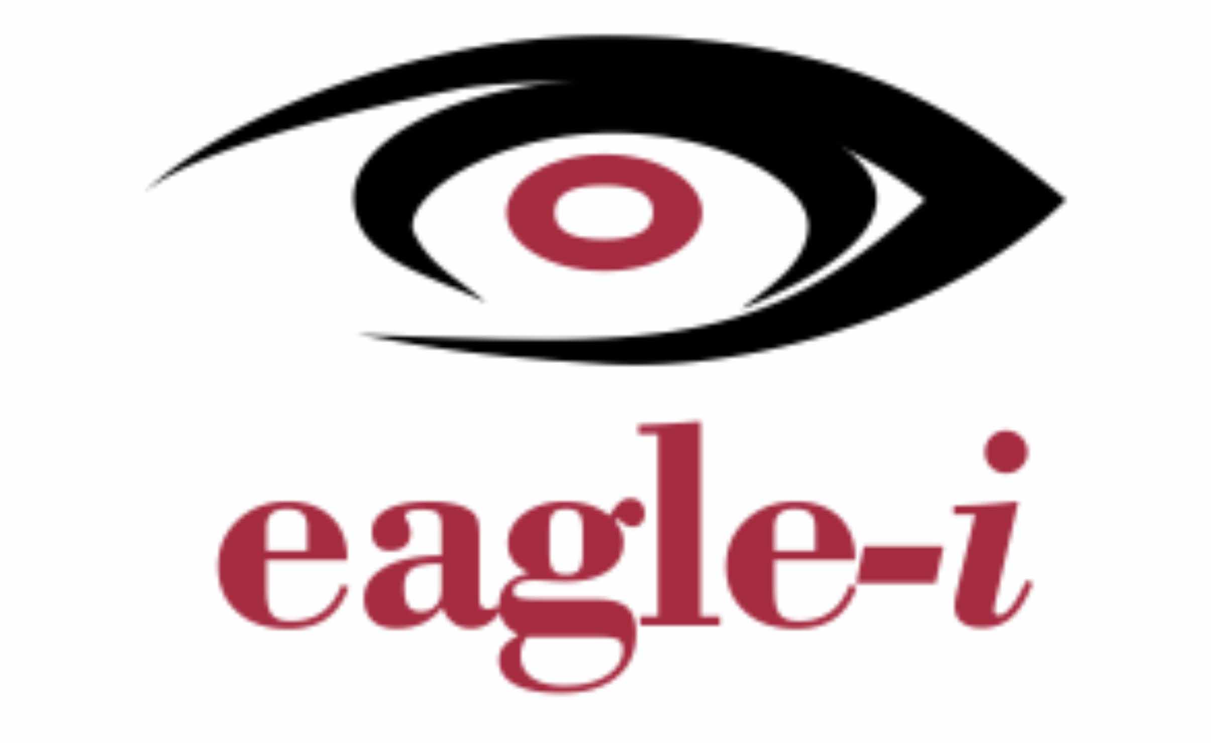 Eagle-i Introduces Alternative HD CCTV Cameras Into Nigerian Market-marketingspace.com.ng