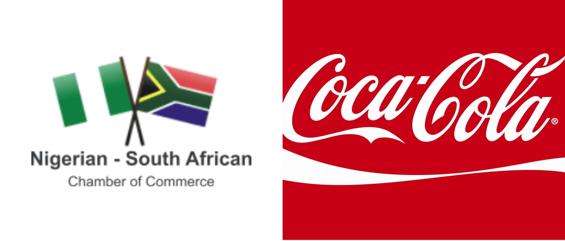 NESG, Coca-Cola Emphasize Sustainable Growth through Social Inclusion.-marketingspace.com.ng