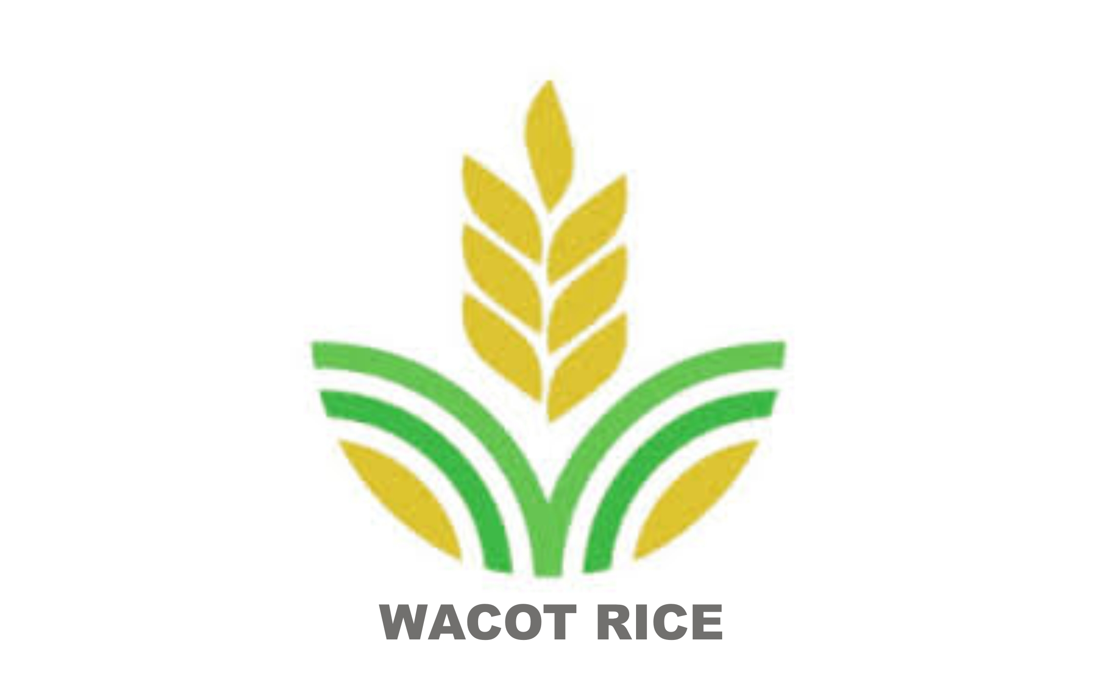 USAID Partners WACOT Rice On N5b Deal To Boost Rice Production In Kebbi State-marketingspace.com.ng