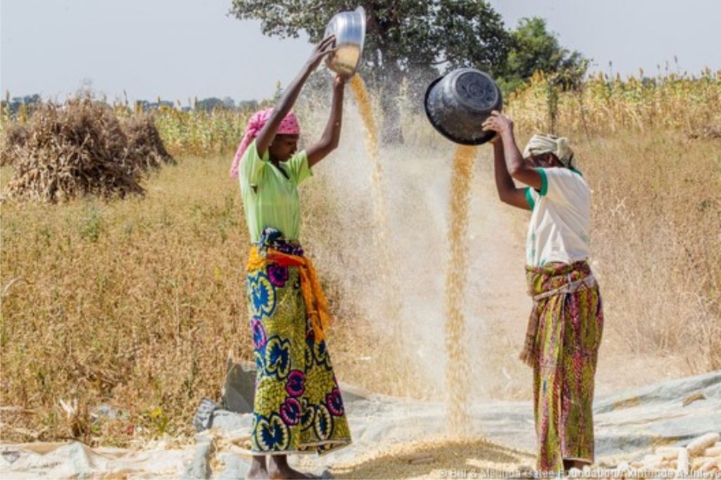 560,000 Young Nigerians To Secure Work Through Babban Gona, Mastercard Foundation Partnership-marketingspace.com.ng