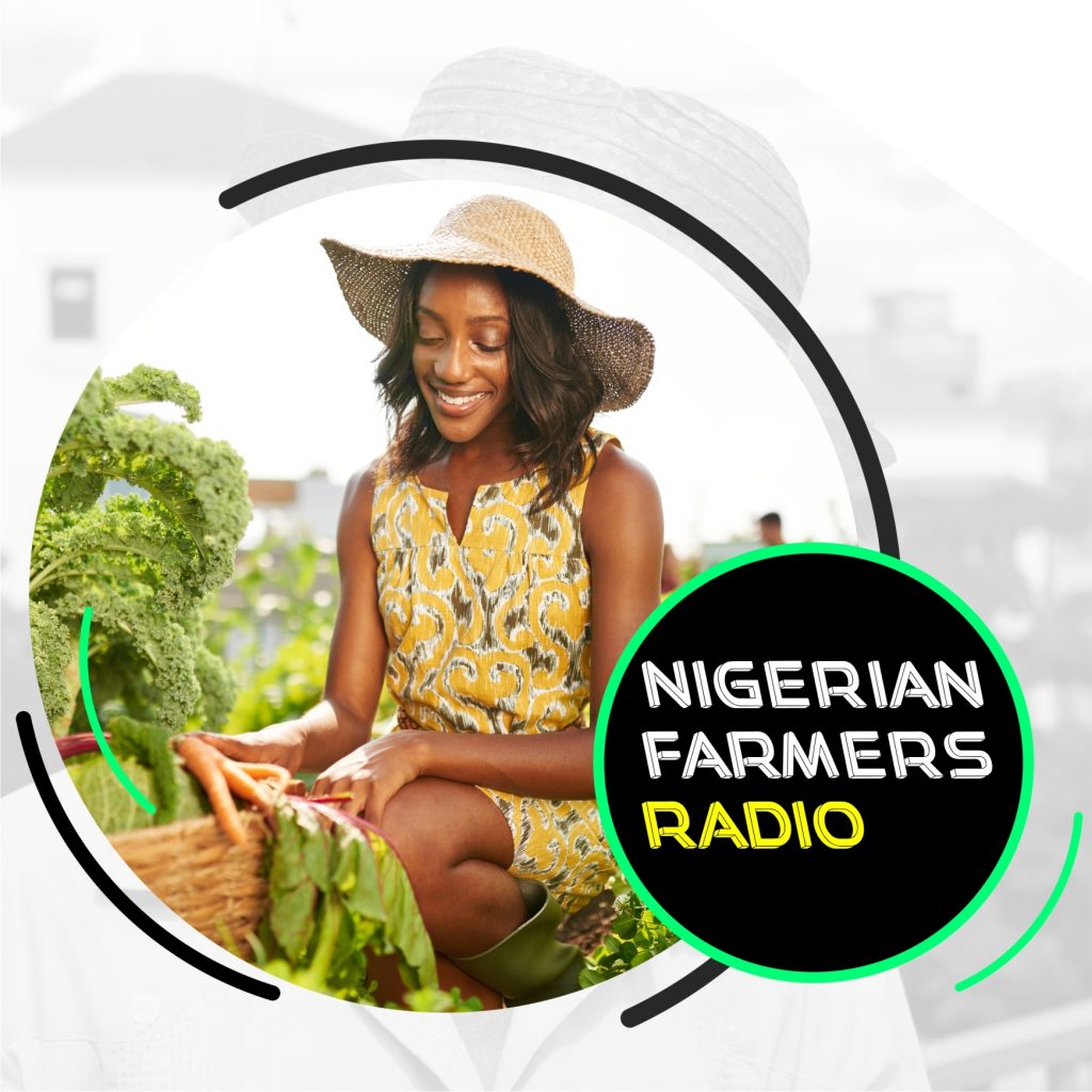 Nigerian Farmers Radio To Focus On Improving Access To Credit For Farming-marketingspace.com.ng