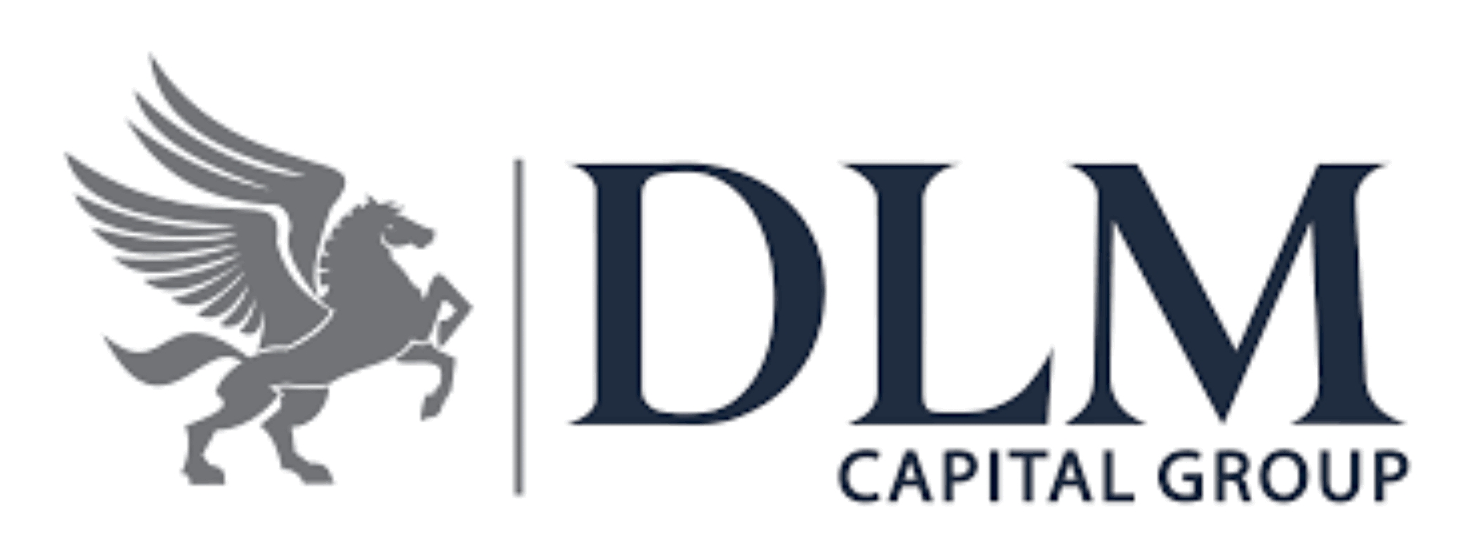 DLM Capital Group Increases Financial Inclusion With Its Fixed Income Fund-marketingspace.com.ng