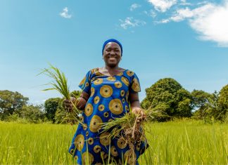 Nestlé Partners With Africa Food Prize To Strengthen Food Security And Climate Change Resilience-marketingspace.com.ng