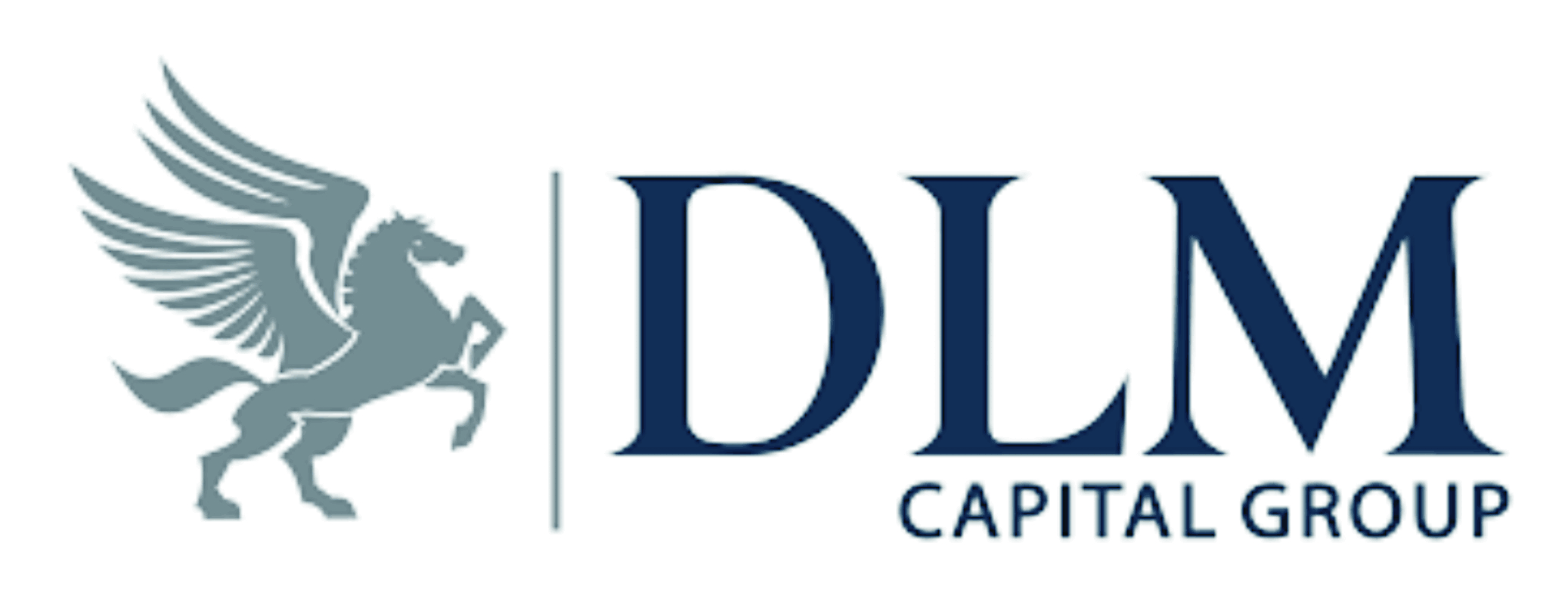 DLM Capital Group Successfully Redeems N20.161billionUnder Its N25Billion CERPAC SPV Securitization-marketingspace.com.ng