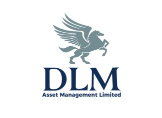 DLM Asset Management Announces Techniques To Grow Cash And Finish Strong In 2023-marketingspace.com.ng