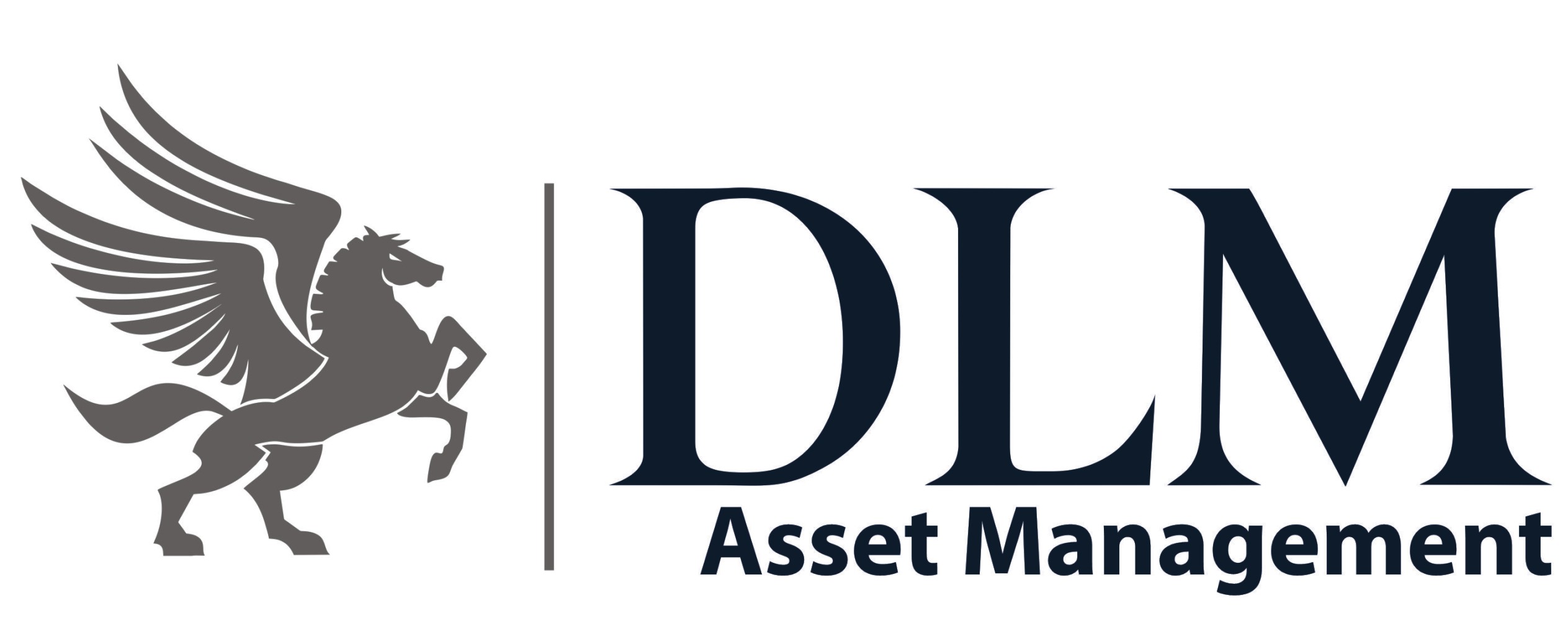 DLM Asset Management Set To Host Webinar To Discuss Maintaining Financial Stability In Times Of Economic Distress-marketingspace.com.ng