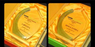 Chivita, Hollandia Bag Best Brand Equity Awards 2016-marketingspace.com.ng