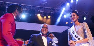 Troyka Chairman, Shobanjo Bags Silverbird Extraordinary Business Achievement Awards-marktingspace.com.ng