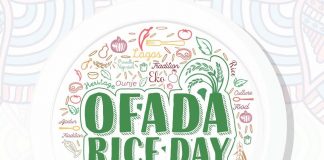 OfadaBoy, LASG, Malta Guinness Set to hostOfada Rice Festival on October 13-marketingspace.com.ng