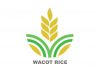 USAID Partners WACOT Rice On N5b Deal To Boost Rice Production In Kebbi State-marketingspace.com.ng